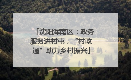 沈阳浑南区：政务服务进村屯，“村政通”助力乡村振兴