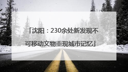 沈阳：230余处新发现不可移动文物重现城市记忆