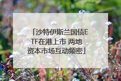 沙特伊斯兰国债ETF在港上市 两地资本市场互动频密