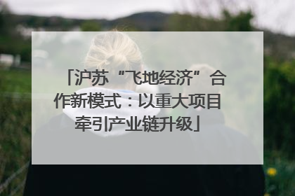 沪苏“飞地经济”合作新模式：以重大项目牵引产业链升级