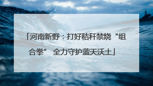 河南新野：打好秸秆禁烧“组合拳” 全力守护蓝天沃土