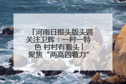 河南日报头版头题关注卫辉：一村一特色 村村有看头 ︳聚焦“两高四着力”·一“县”观察