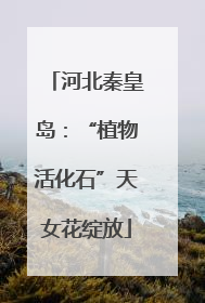 河北秦皇岛：“植物活化石”天女花绽放