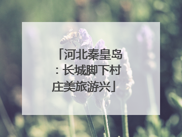 河北秦皇岛：长城脚下村庄美旅游兴