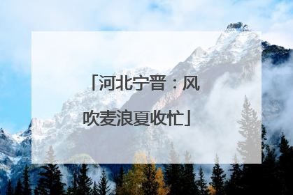 河北宁晋：风吹麦浪夏收忙