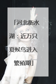 河北衡水湖：近万只夏候鸟进入繁殖期