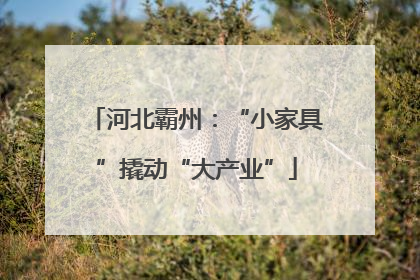 河北霸州：“小家具”撬动“大产业”