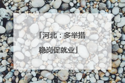 河北：多举措稳岗促就业