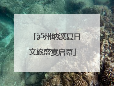 泸州纳溪夏日文旅盛宴启幕