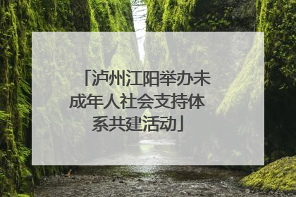 泸州江阳举办未成年人社会支持体系共建活动