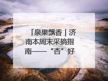 泉果飘香｜济南本周末采摘指南——“杏”好遇见你！