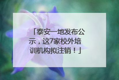 泰安一地发布公示，这7家校外培训机构拟注销！