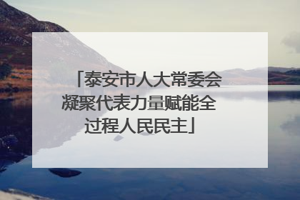 泰安市人大常委会凝聚代表力量赋能全过程人民民主