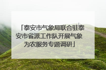 泰安市气象局联合驻泰安市省派工作队开展气象为农服务专题调研
