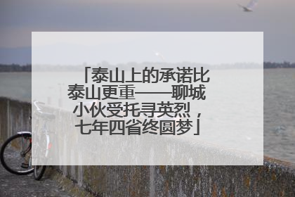 泰山上的承诺比泰山更重——聊城小伙受托寻英烈，七年四省终圆梦