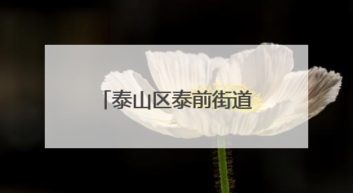 泰山区泰前街道广生泉社区：“泉”聚银辉“泉”心服务共建幸福文明和谐家园