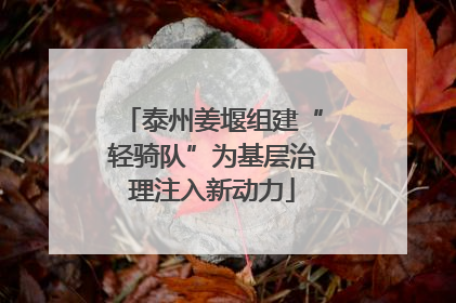 泰州姜堰组建“轻骑队”为基层治理注入新动力