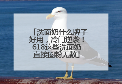 洗面奶什么牌子好用，冷门逆袭！618这些洗面奶直接圈粉无数