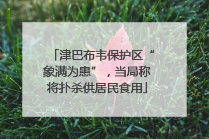 津巴布韦保护区“象满为患”，当局称将扑杀供居民食用