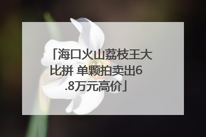 海口火山荔枝王大比拼 单颗拍卖出6.8万元高价