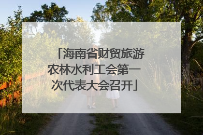 海南省财贸旅游农林水利工会第一次代表大会召开