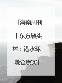 海南周刊丨东方墩头村：港水环墩仓廪实