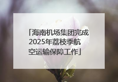 海南机场集团完成2025年荔枝季航空运输保障工作
