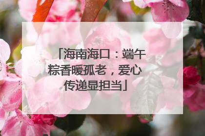 海南海口：端午粽香暖孤老，爱心传递显担当