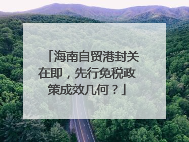海南自贸港封关在即，先行免税政策成效几何？
