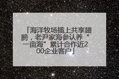 海洋牧场插上共享翅膀，老尹家海参认养“一亩海”累计合作近200企业客户