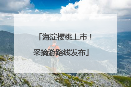 海淀樱桃上市！采摘游路线发布