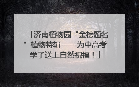 济南植物园“金榜题名”植物特辑——为中高考学子送上自然祝福！