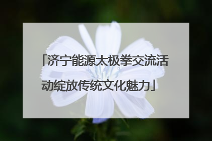 济宁能源太极拳交流活动绽放传统文化魅力