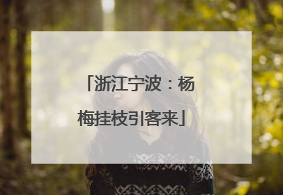 浙江宁波：杨梅挂枝引客来
