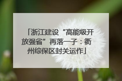 浙江建设“高能级开放强省”再落一子：衢州综保区封关运作