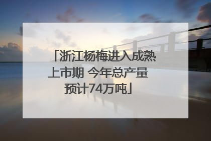 浙江杨梅进入成熟上市期 今年总产量预计74万吨
