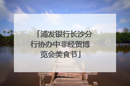 浦发银行长沙分行协办中非经贸博览会美食节