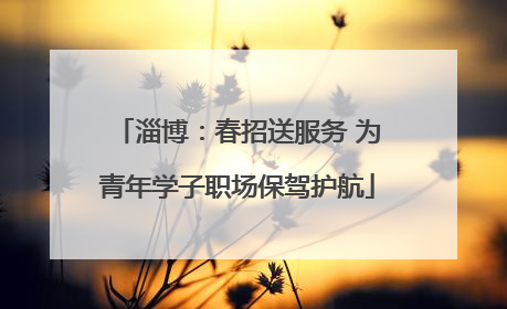 淄博：春招送服务 为青年学子职场保驾护航
