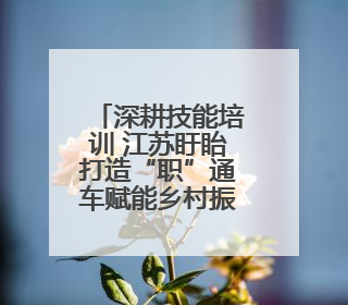 深耕技能培训 江苏盱眙打造“职”通车赋能乡村振兴