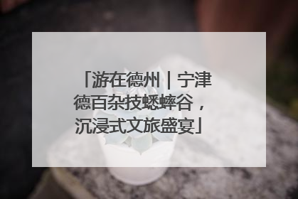 游在德州｜宁津德百杂技蟋蟀谷，沉浸式文旅盛宴