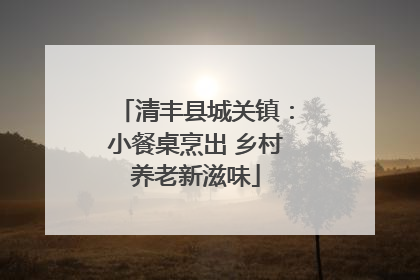 清丰县城关镇：小餐桌烹出 乡村养老新滋味