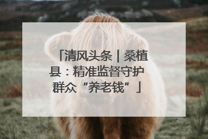 清风头条｜桑植县：精准监督守护群众“养老钱”