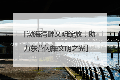 渤海湾畔文明绽放，助力东营闪耀文明之光