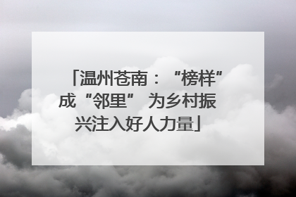 温州苍南：“榜样”成“邻里” 为乡村振兴注入好人力量