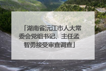 湖南省沅江市人大常委会党组书记、主任孟智勇接受审查调查