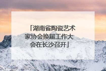 湖南省陶瓷艺术家协会换届工作大会在长沙召开