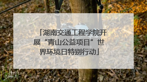 湖南交通工程学院开展“青山公益项目”世界环境日特别行动