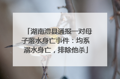 湖南澧县通报一对母子落水身亡事件：均系溺水身亡，排除他杀