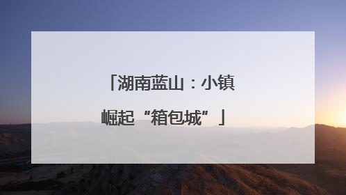 湖南蓝山：小镇崛起“箱包城”