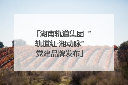 湖南轨道集团“轨道红·湘动脉”党建品牌发布